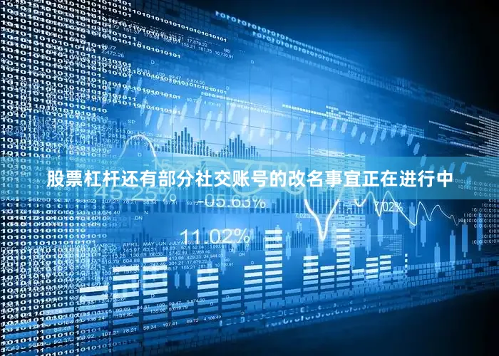 股票杠杆还有部分社交账号的改名事宜正在进行中