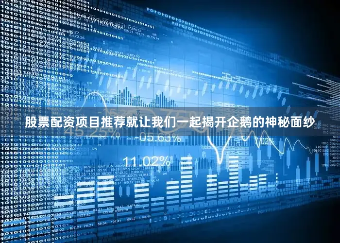 股票配资项目推荐就让我们一起揭开企鹅的神秘面纱
