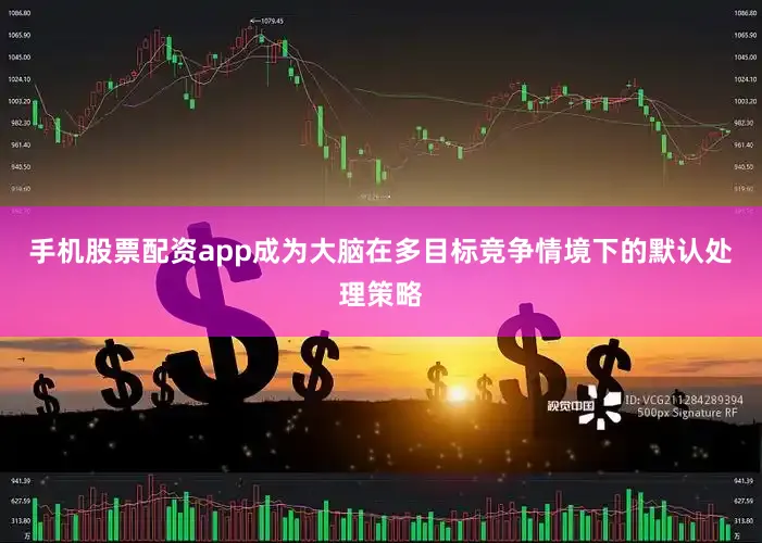 手机股票配资app成为大脑在多目标竞争情境下的默认处理策略