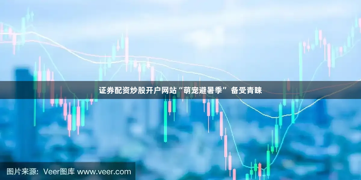 证券配资炒股开户网站“萌宠避暑季” 备受青睐